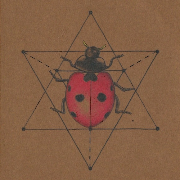 Meet your Posher, Daisy the Fairy - Picture 4 of 6